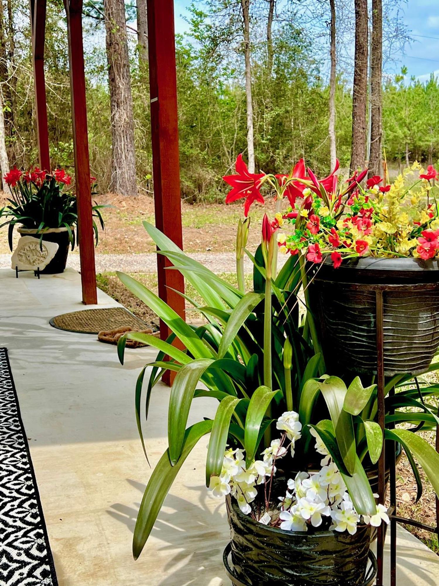 PlattA Tranquil Retreat Loaded With Ambiance! Sleeps 10别墅 外观 照片